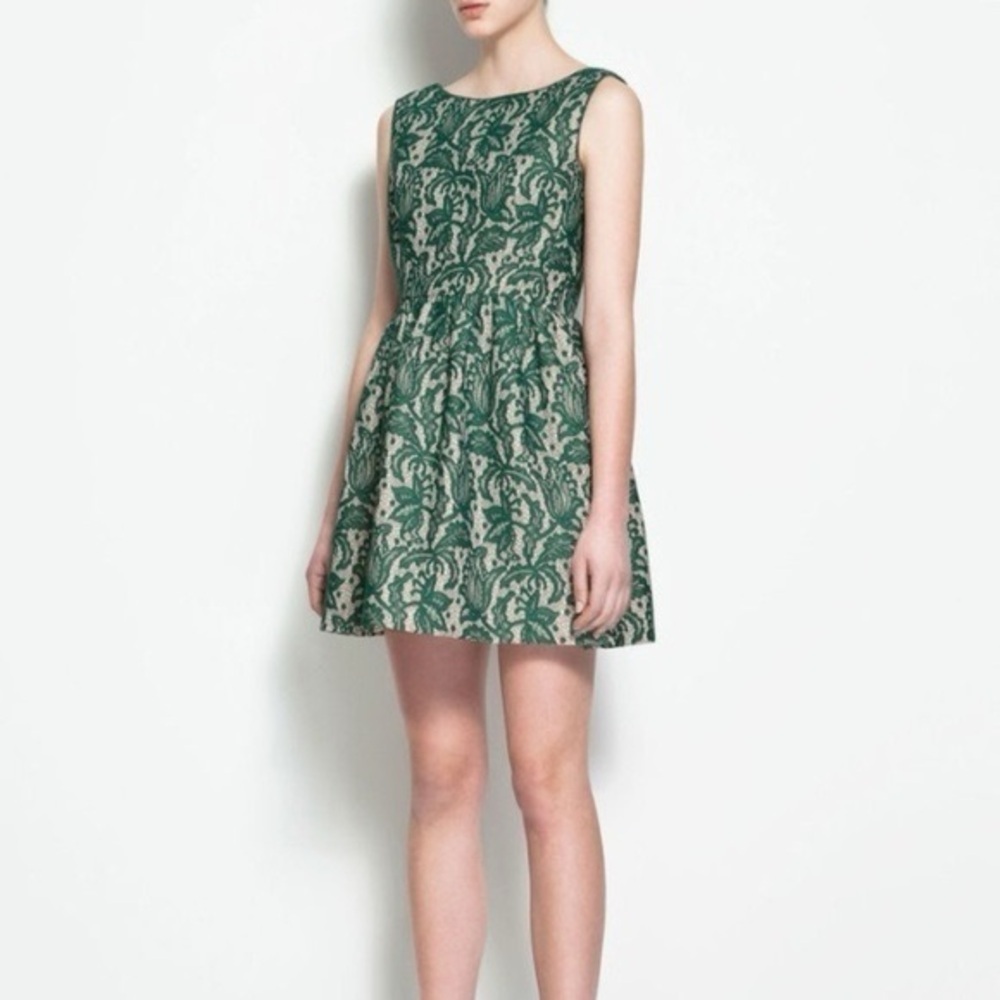 NWT Zara Green Lace Fit Flare Tulip Party Dress Small